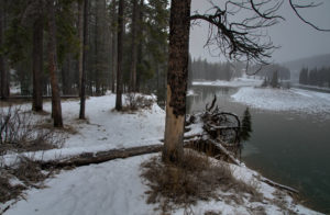 Path Down River