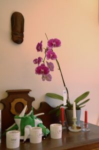 Orchid and African Mask