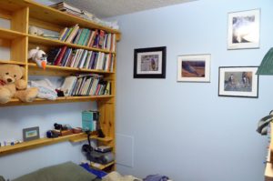 Shelves and Photos